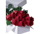 FV0022-M(15 roses with chocolate & bear in gift box)
