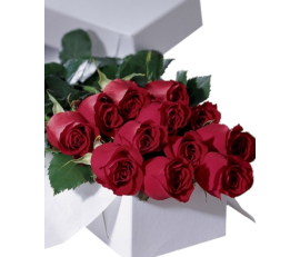 FV0021-12 roses gift box from:$129.99;M:$149.99;L:$199.99 with free chocolate,bear