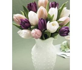 FT0012-20stems