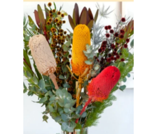 FD008-NATIVE FROM $8/STEM;M$12;L:$18(minum 3stems)