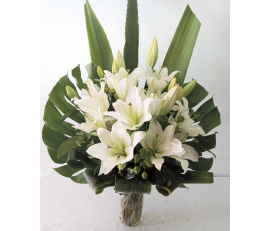 FM1733 XL over $299(over20 stems )