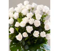 FR171-99white roses  from $99.99(20stems);M:$149.99(30stems);L:over $199.99(over40stems);XL:$499(99stems)