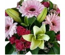 FM00225 TODAY SPECIAL from$89.99 L:$149.99