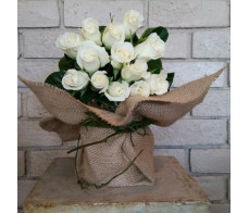 FR086(10roses arrangement $99.99choose colour from white,red,pink purple,yellow,orange etc 