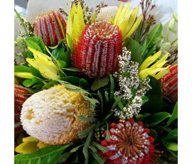 FM046(Native Arrangement  blossoms)