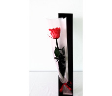 FPD005_forever  love only (preserve single rose box  )free chocolate