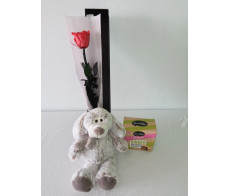 FPD004-forever love only for you(single rose gift box) with dog& chocolate