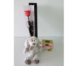 FPD004-forever love only for you(single rose gift box) with dog& chocolate