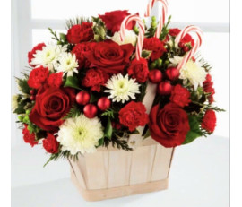 FM125-christmas basket(from$69.99M:$89.99L:$109.99)