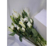 FR0055-white lily&6long white rose-for winter love from$89.99M: $109.99 L:$149.99