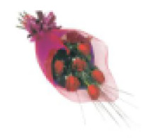 FR113(6 quality rose)-red surprise!(from M:$59.99 L:$89.99}