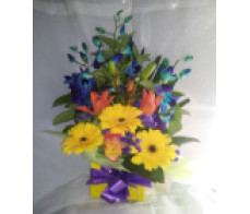 FM052-orchids&Gerbary box arrangement from $39.99;M:$50;L:$80;XL:over$99.99