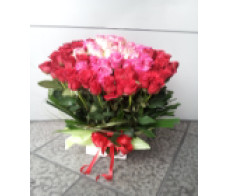 FR009(49large&quality rose pot arrangement)-roses garden