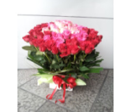 FR009(49large&quality rose pot arrangement)-roses garden