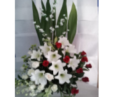 FR007-White Wonders!(from $149.99 M:$199.99L:$249 XL:over $299)