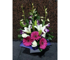 FM026_orchid gerbara box from $39.99M:$59.99L:79.99