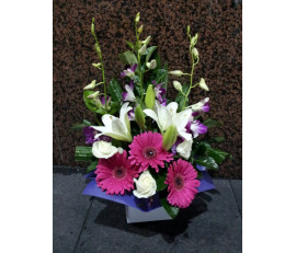 FM026_orchid gerbara box from $39.99M:$59.99L:79.99