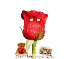 FR028(talking rose with free chocolate &bear)