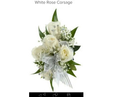 FR124 from $29.99M:$39.99;L:$49.99