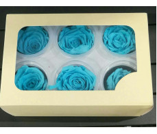 FPD007_preserve 6blue roses box