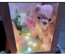 FPD008_preserve flower&bear gift led bag 