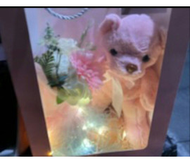 FPD008_preserve flower&bear gift led bag 