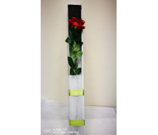 FR092(single long rose box with chocolate. Free delivery in sydney CBD)
