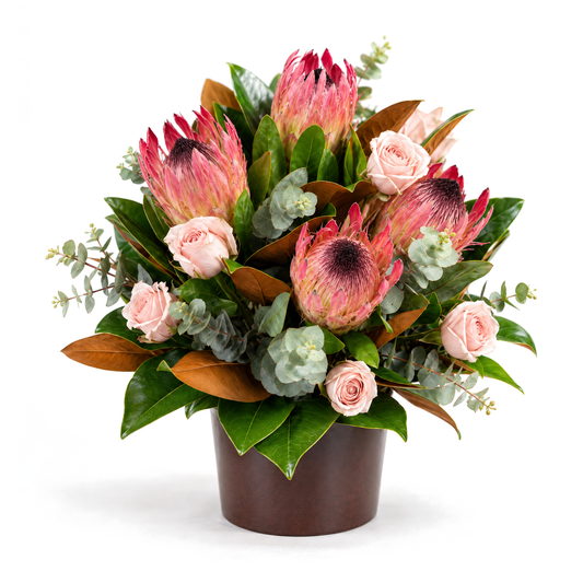 Native Arrangement
